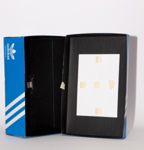 Shoebox pinhole camera inside
