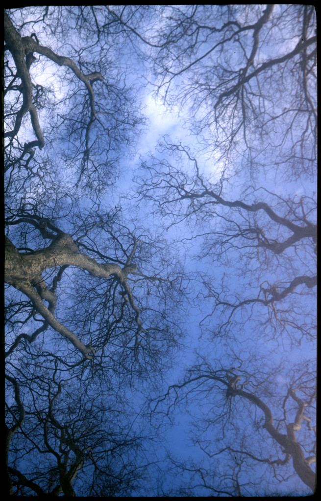 agfa_005